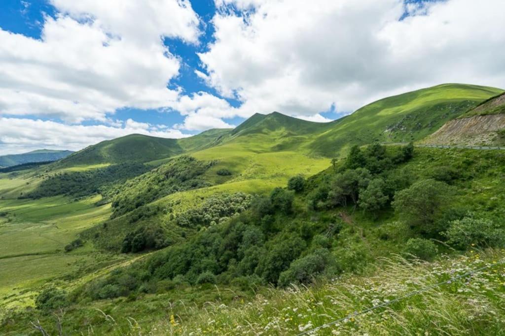Appt Lumineux, Thermes Et Montagne La Bourboule Dış mekan fotoğraf