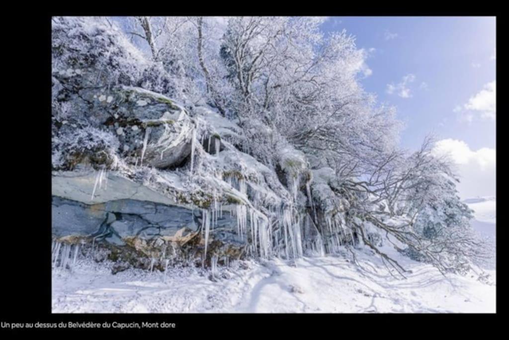 Appt Lumineux, Thermes Et Montagne La Bourboule Dış mekan fotoğraf
