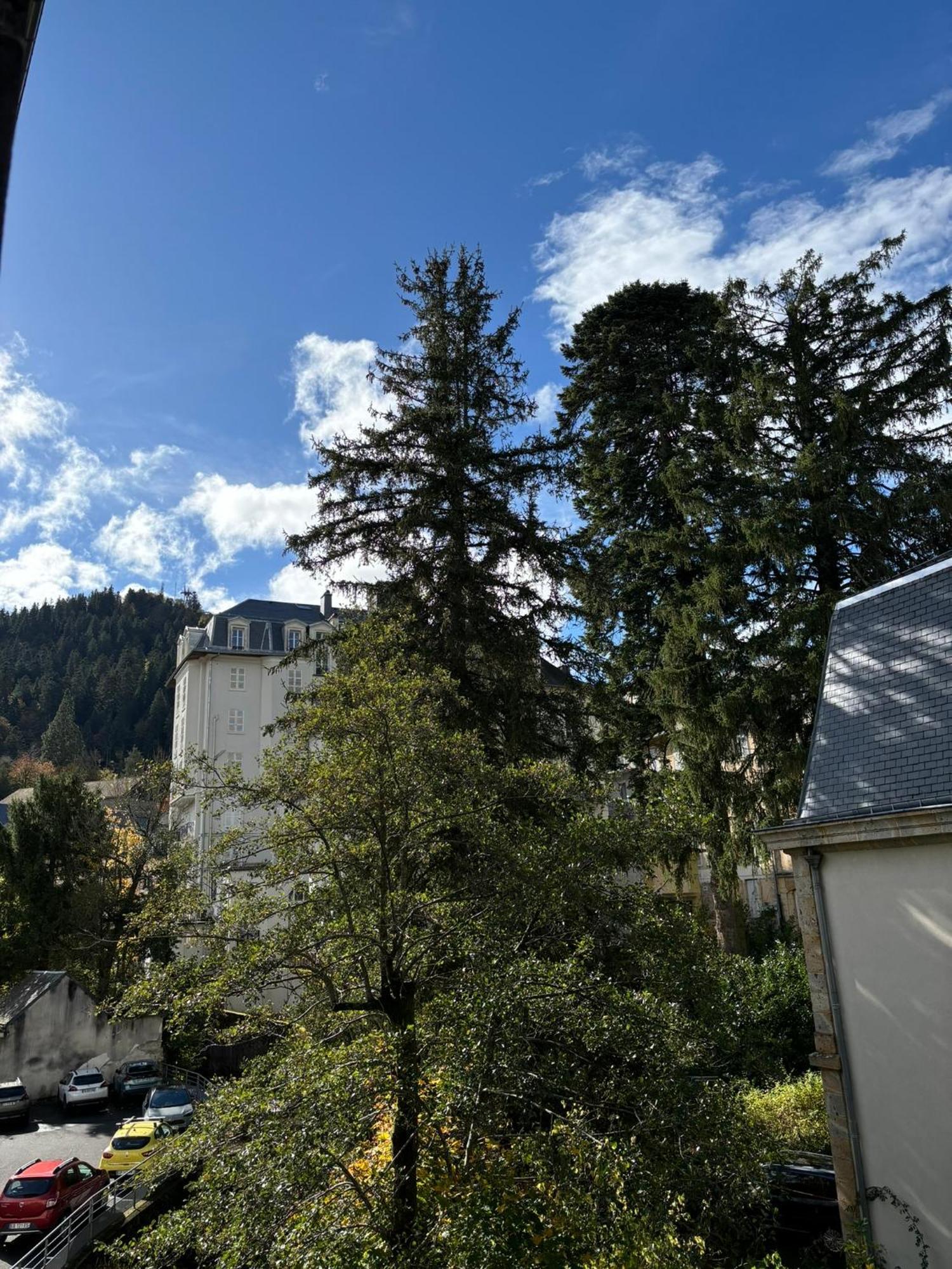 Appt Lumineux, Thermes Et Montagne La Bourboule Dış mekan fotoğraf